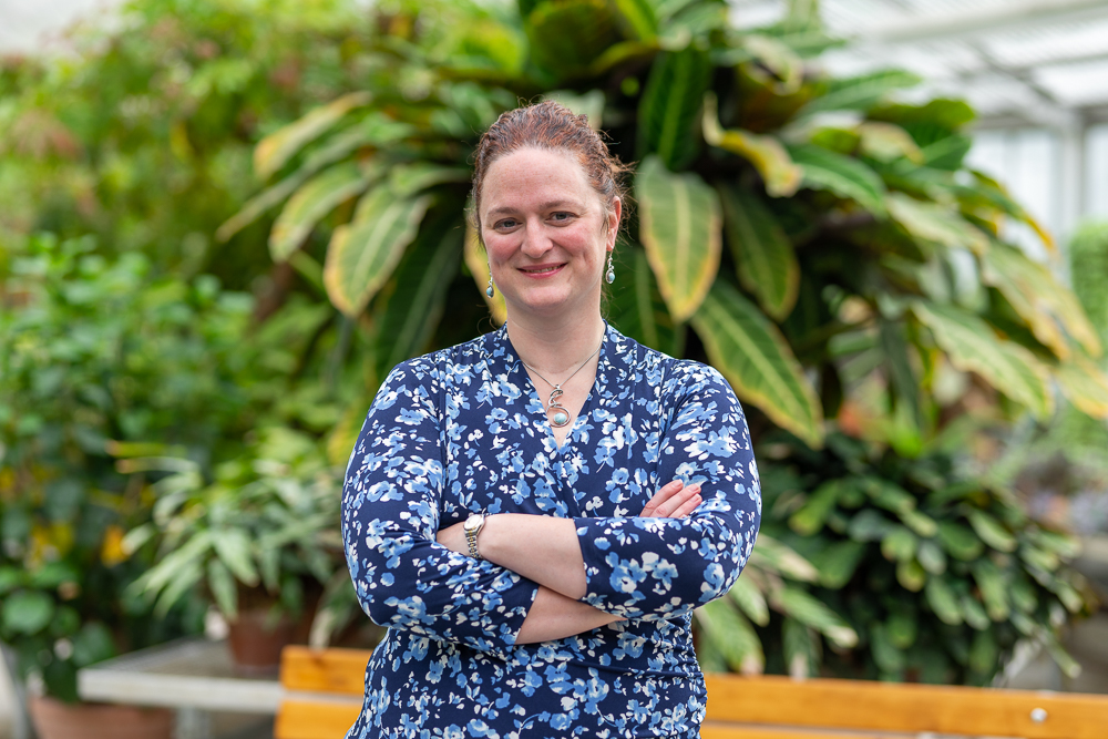 Confluence Portraits — image 4